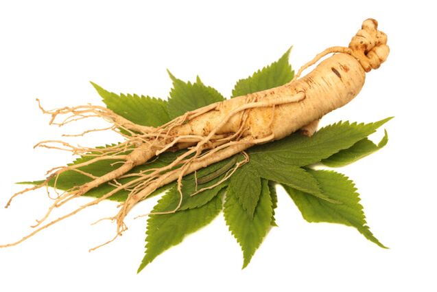ρίζα ginseng στο ψεκασμό zxcvbnmqwert